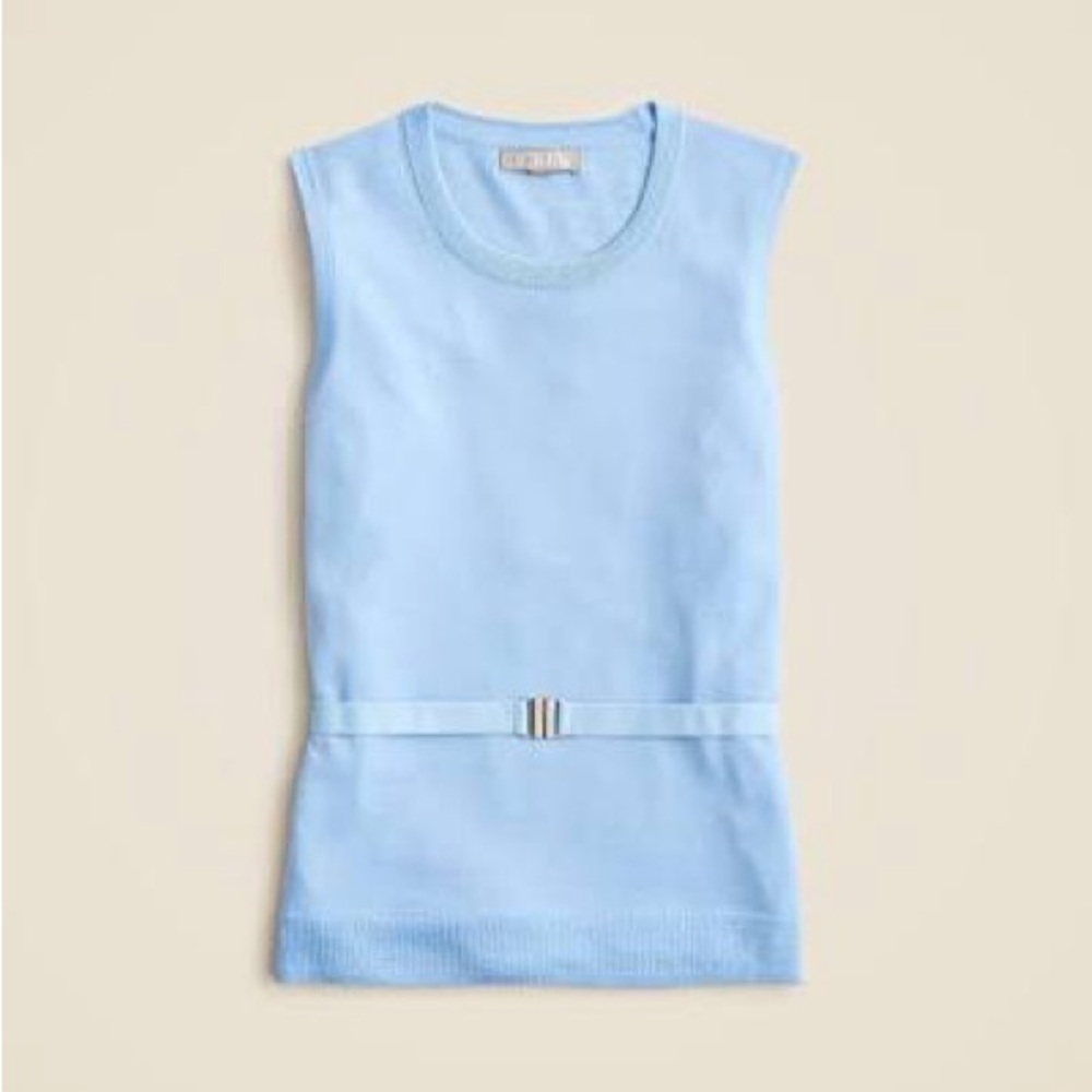 J. Crew Light Blue Merino Sweater Top
